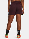 Under Armour Dámské kraťasy Under Armour UA W's Ch. Knit Short
