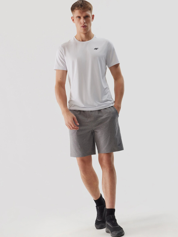 4F Pánské sportovní rychleschnoucí šortky 4F