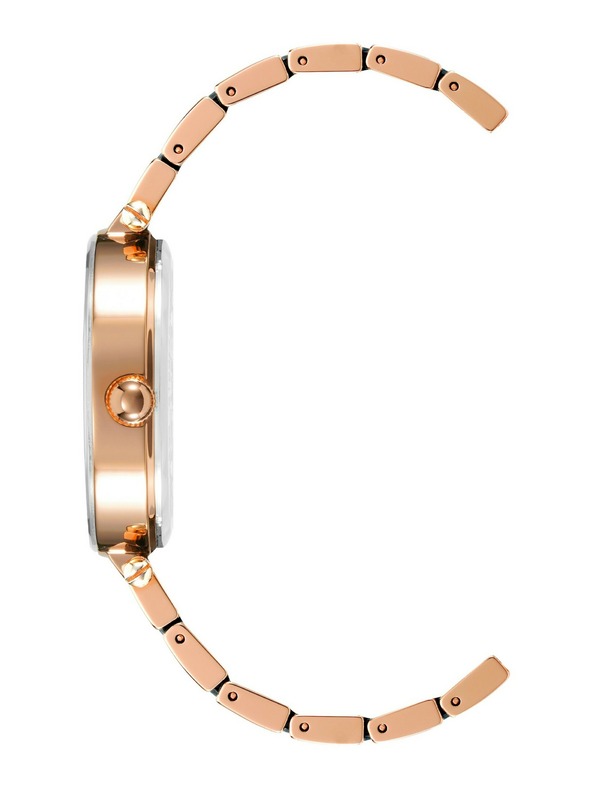Anne Klein Dámské hodinky Anne Klein AK/3844NVRG