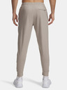 Under Armour Pánské tepláky Under Armour UA Meridian Joggers-BRN