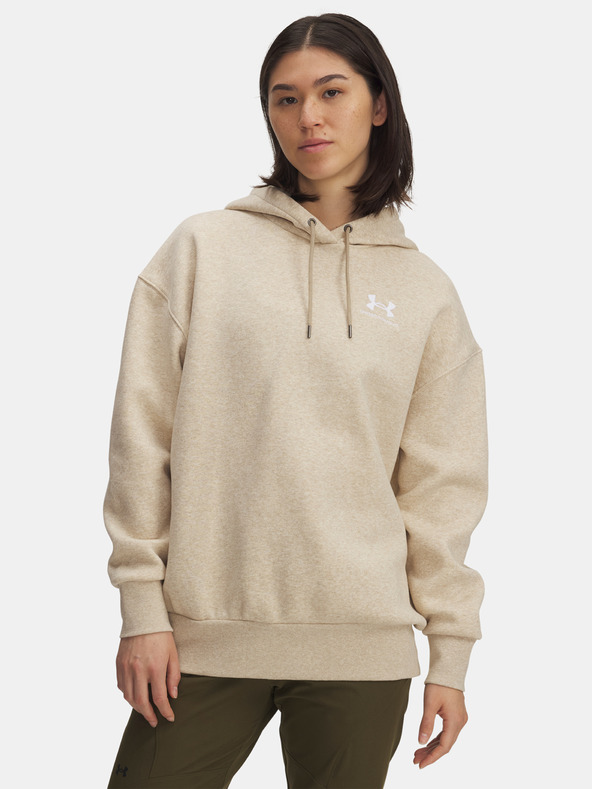 Under Armour Dámská mikina Under Armour UA Icon Fleece OS Hoodie-BRN