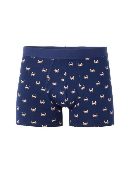 Celio Boxerky Nibocrabe