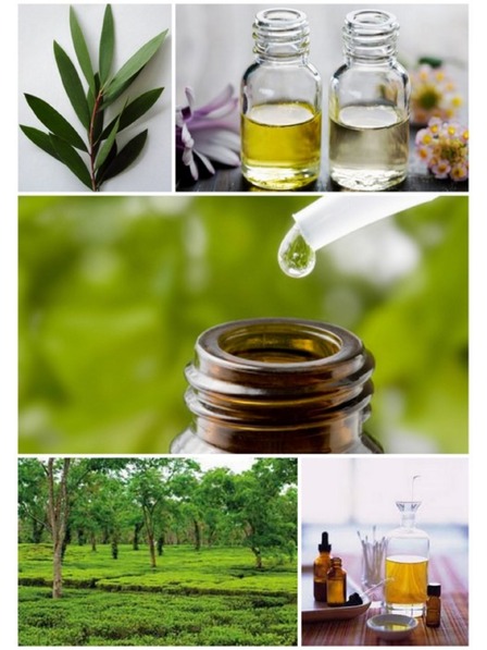 Caribbean Sun Čisticí sůl na mořské houby Caribbean Sun Tea Tree 400 g