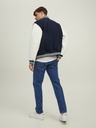 Jack & Jones Mike Jeans