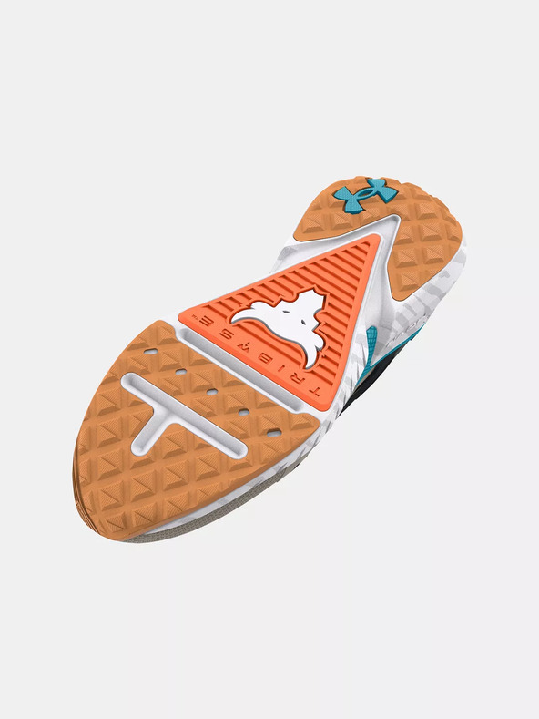 Under Armour Pánské boty Under Armour UA Project Rock 5