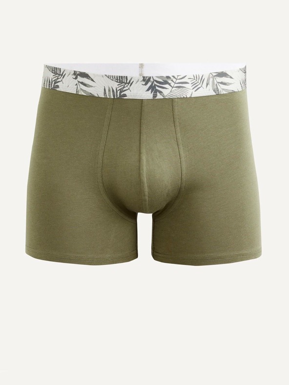 Celio Biarritz1 Boxerky