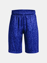 Under Armour Chlapecké kraťasy Under Armour UA Renegade 3.0 PRTD Shorts