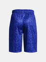 Under Armour Chlapecké kraťasy Under Armour UA Renegade 3.0 PRTD Shorts