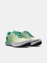 Under Armour Dámské boty Under Armour UA W FLOW Velociti Wind 2