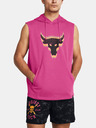 Under Armour Pánská mikina Under Armour Pjt Q2 Payoff SL Flce HD