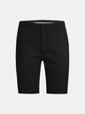 Under Armour Dámské kraťasy Under Armour Links Short