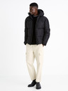 Celio Cunotte Bunda