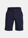 Under Armour Pánské kraťasy Under Armour UA Tech Short