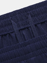 Under Armour Pánské kraťasy Under Armour Pjt Rock Woven Shorts