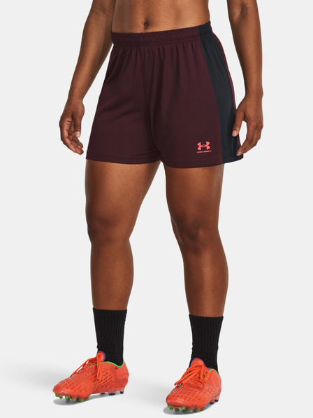 Under Armour Dámské kraťasy Under Armour UA W's Ch. Knit Short