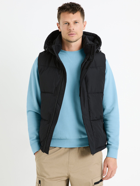 Celio Fubianco Vesta