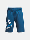 Under Armour Chlapecké kraťasy Under Armour UA Prototype 2.0 Logo Shorts