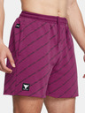 Under Armour Pánské kraťasy Under Armour Pjt Rck Icon Flc Short Pt BOH
