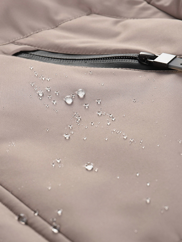 ALPINE PRO Pánská bunda s membránou PTX ALPINE PRO WERD