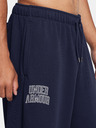 Under Armour Pánské sportovní kalhoty Under Armour UA Icon HWT Terry OS Pant
