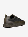 Geox Khaki pánské tenisky Geox Spherica