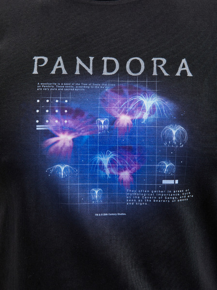 ZOOT.Fan Diagram Avatar 1 ZOOT. FAN Twentieth Century Fox - pánské tričko