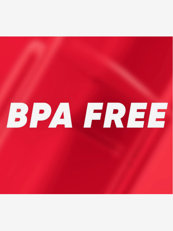 BAAGL  Červený box na svačinu teribear Baagl