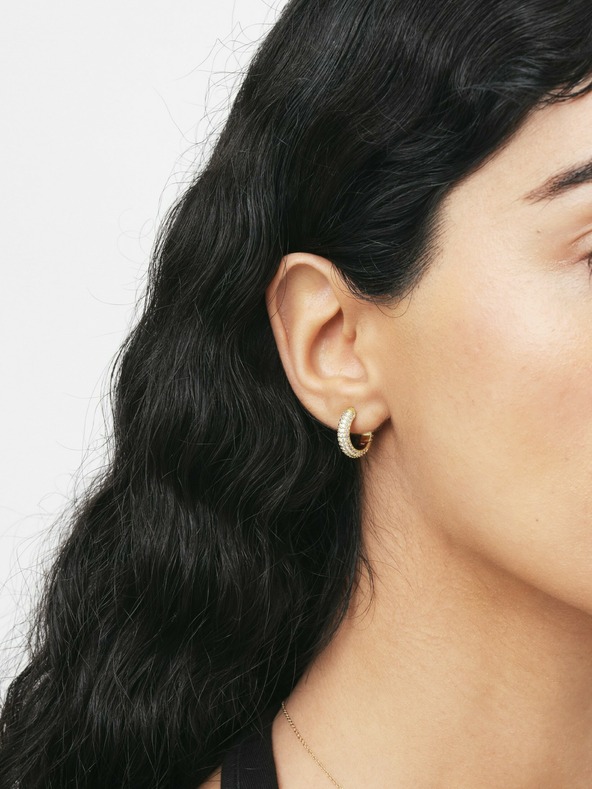 Daniel Wellington Dámské zlaté ocelové náušnice kruhy Daniel Wellington