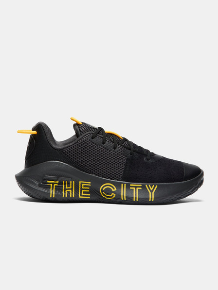 Under Armour Unisexové boty Under Armour CURRY 6 Flotro TC