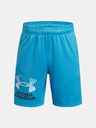 Under Armour Chlapecké kraťasy Under Armour UA Tech Logo Shorts