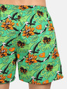 Styx Zelené pánské domácí trenýrky s kapsami Styx Tropic