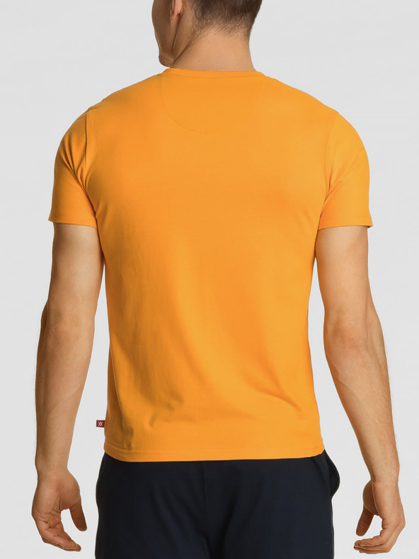 Atlantic Pánské tričko s krátkým rukávem ATLANTIC