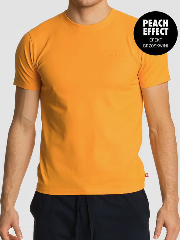 Atlantic Pánské tričko s krátkým rukávem ATLANTIC