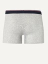 Celio Světle šedé pánské žíhané boxerky Celio Mike