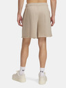 Under Armour Pánské kraťasy Under Armour UA Rival TerryLogo8inShort