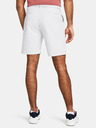 Under Armour Pánské kraťasy Under Armour UA Tech Taper Short