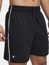 Under Armour Pánské kraťasy Under Armour Pjt Rck Mesh Short