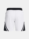 Under Armour Pánské kraťasy Under Armour Curry Mesh Short 4
