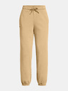 Under Armour Dámské kalhoty Under Armour UA Icon HWT Flc OS Pant-BRN