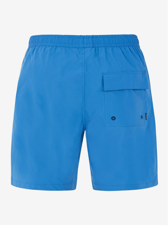 Protest Pánské plážové šortky Protest PRTBAKY