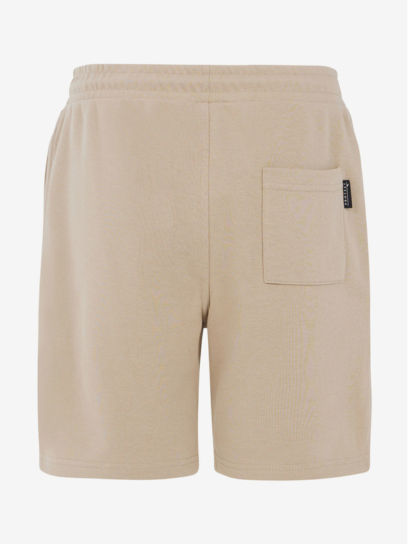 Protest Chlapecké kraťasy Protest PRTCLINT JR