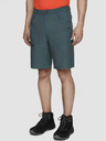4F Pánské kraťasy 4F