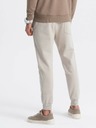 Ombre Clothing Béžové pánské tepláky jogger Ombre Clothing