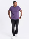 Ombre Clothing Pánské klasické bavlněné tričko BASIC Ombre Clothing