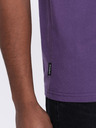 Ombre Clothing Pánské klasické bavlněné tričko BASIC Ombre Clothing