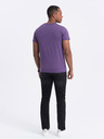 Ombre Clothing Pánské klasické bavlněné tričko BASIC Ombre Clothing