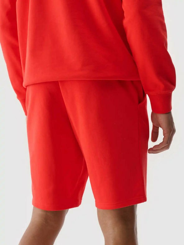 4F Pánské kraťasy 4F