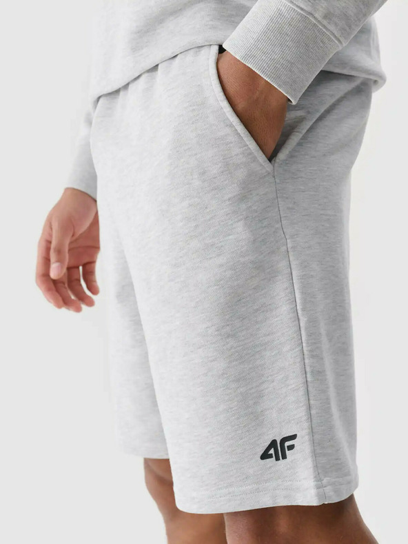 4F Pánské kraťasy 4F