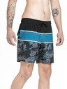 Meatfly Meatfly pánské plavky Keith Boardshorts 17" Mossy Petrol | Modrá | Velikost