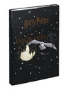 BAAGL  Černé Desky na školní sešity A4 Harry Potter Bradavice Erb Baagl